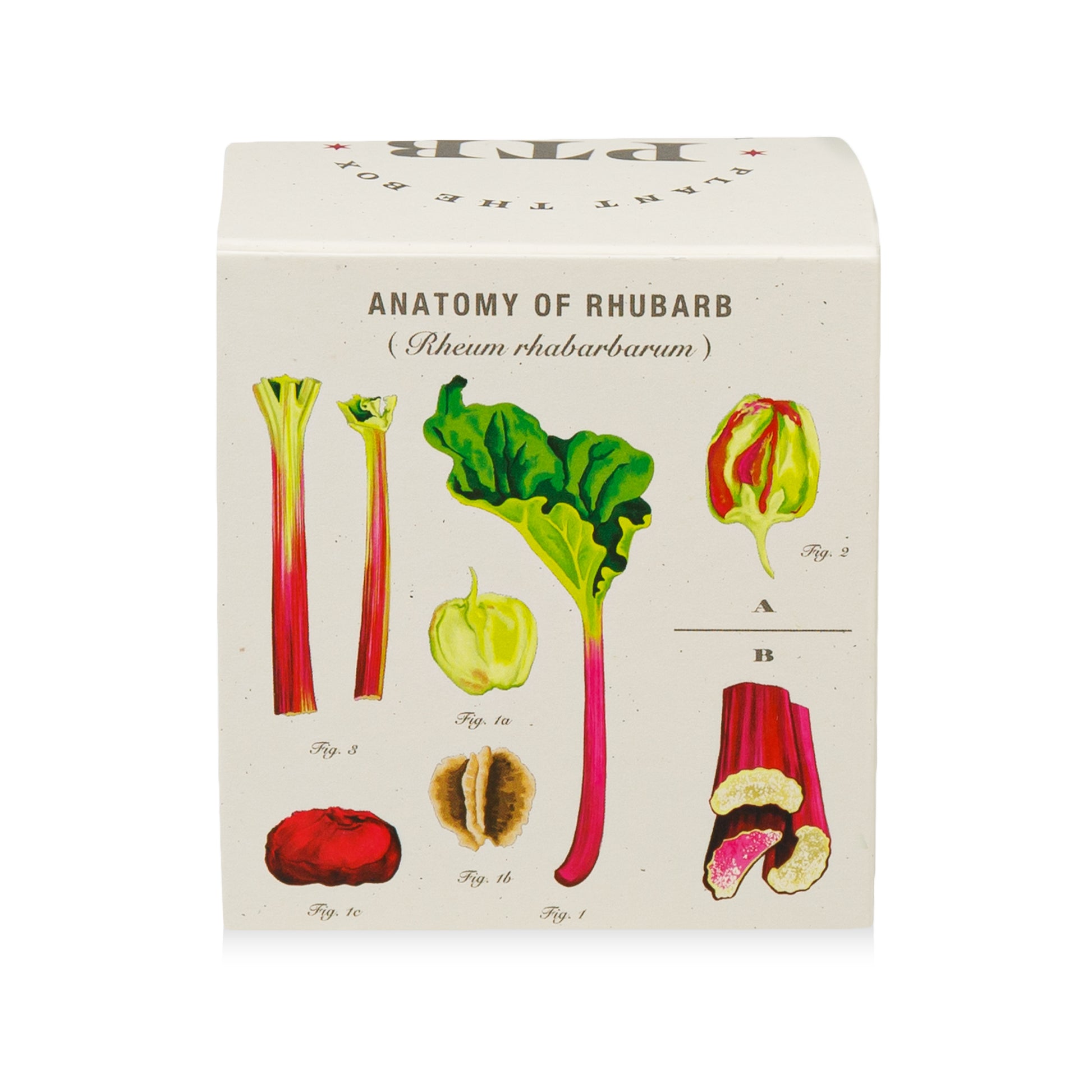 Alternate Image of Plant the Box Backyard Rhubarb Candle