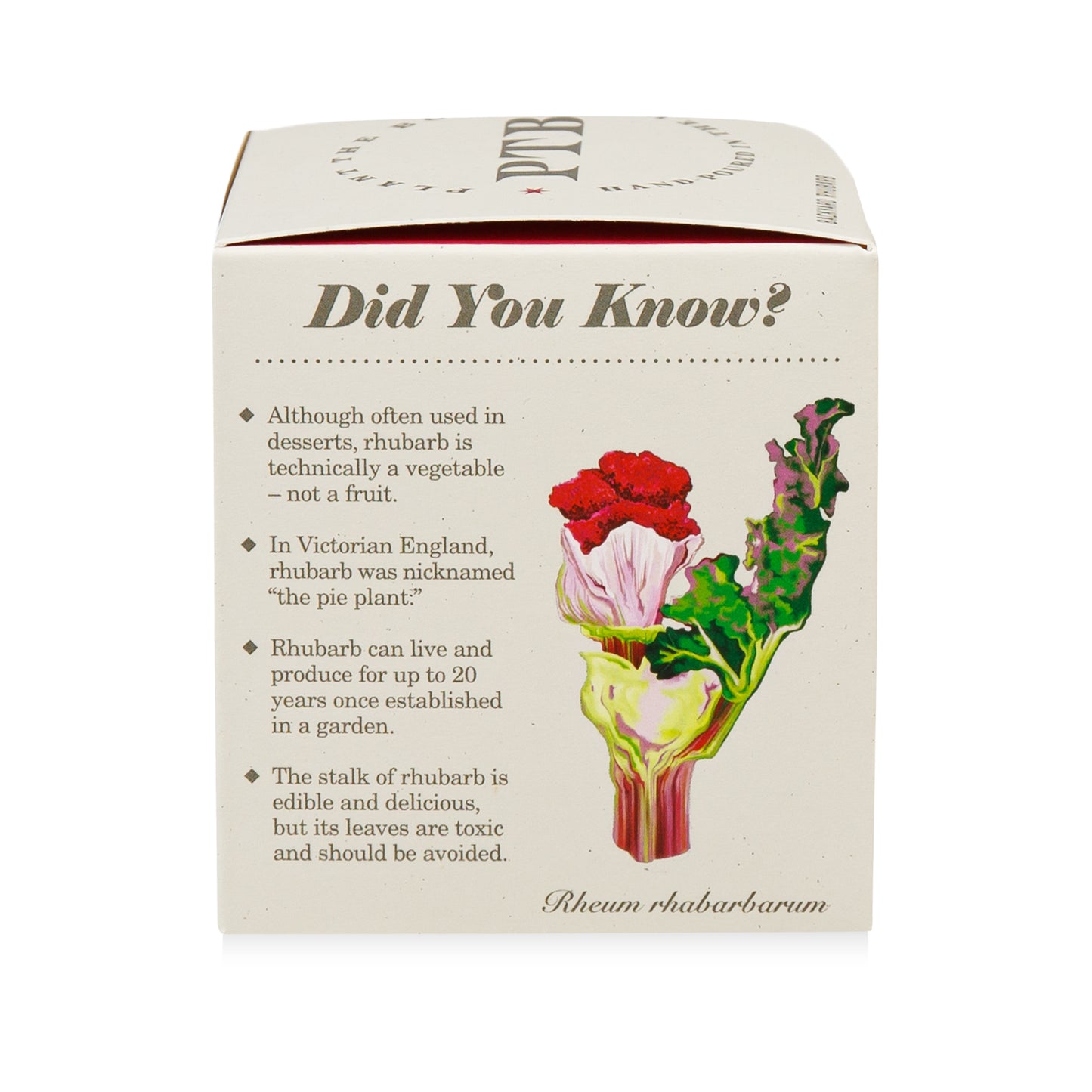 Alternate Image of Plant the Box Backyard Rhubarb Candle