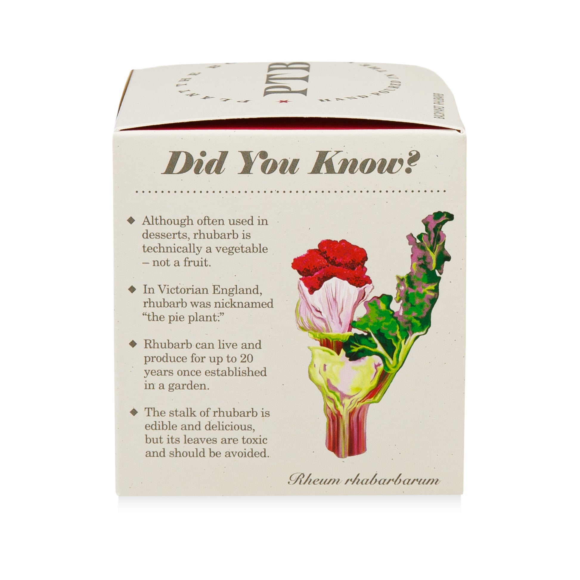 Alternate Image of Plant the Box Backyard Rhubarb Candle
