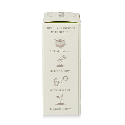 Alternate image of Fresh Picked Basil Plant the Box Bar Soap