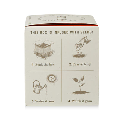 Alternate Image of Half Moon Pumpkin Plant The Box Candle