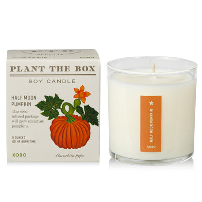 Primary Image of Half Moon Pumpkin Plant The Box Candle