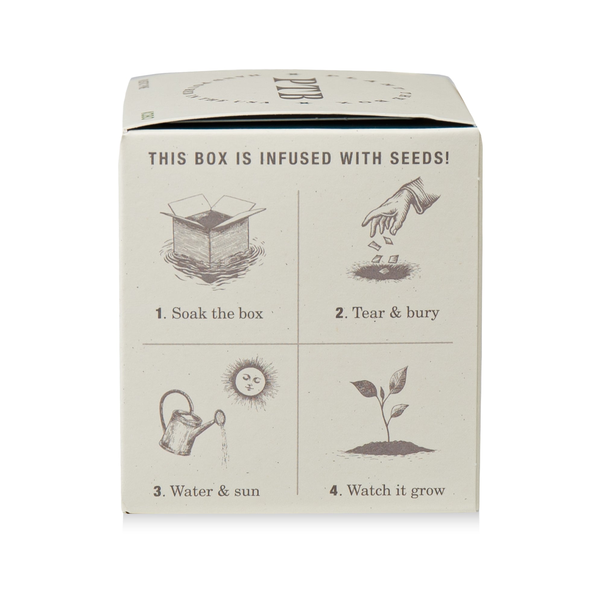Kobo Rustic Pine Plant The Box Candle - Thumbnail 4