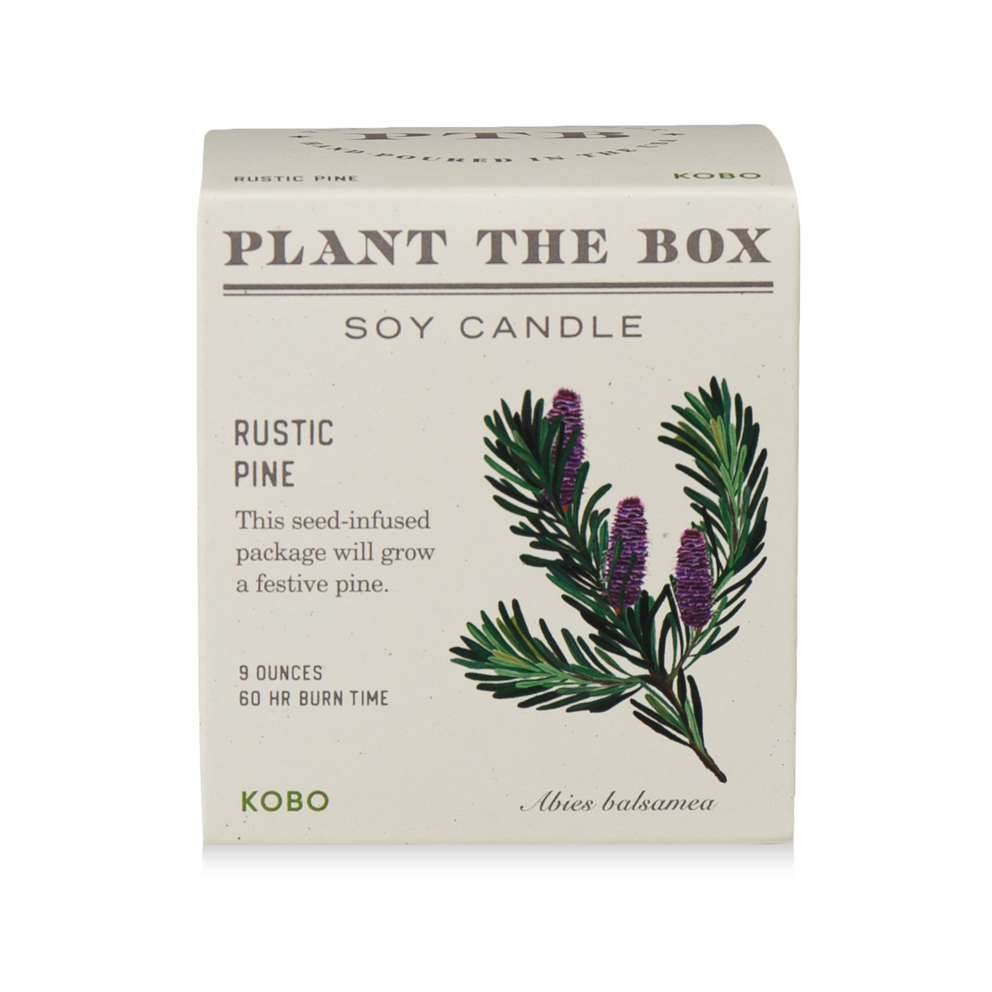 Kobo Rustic Pine Plant The Box Candle - Thumbnail 3