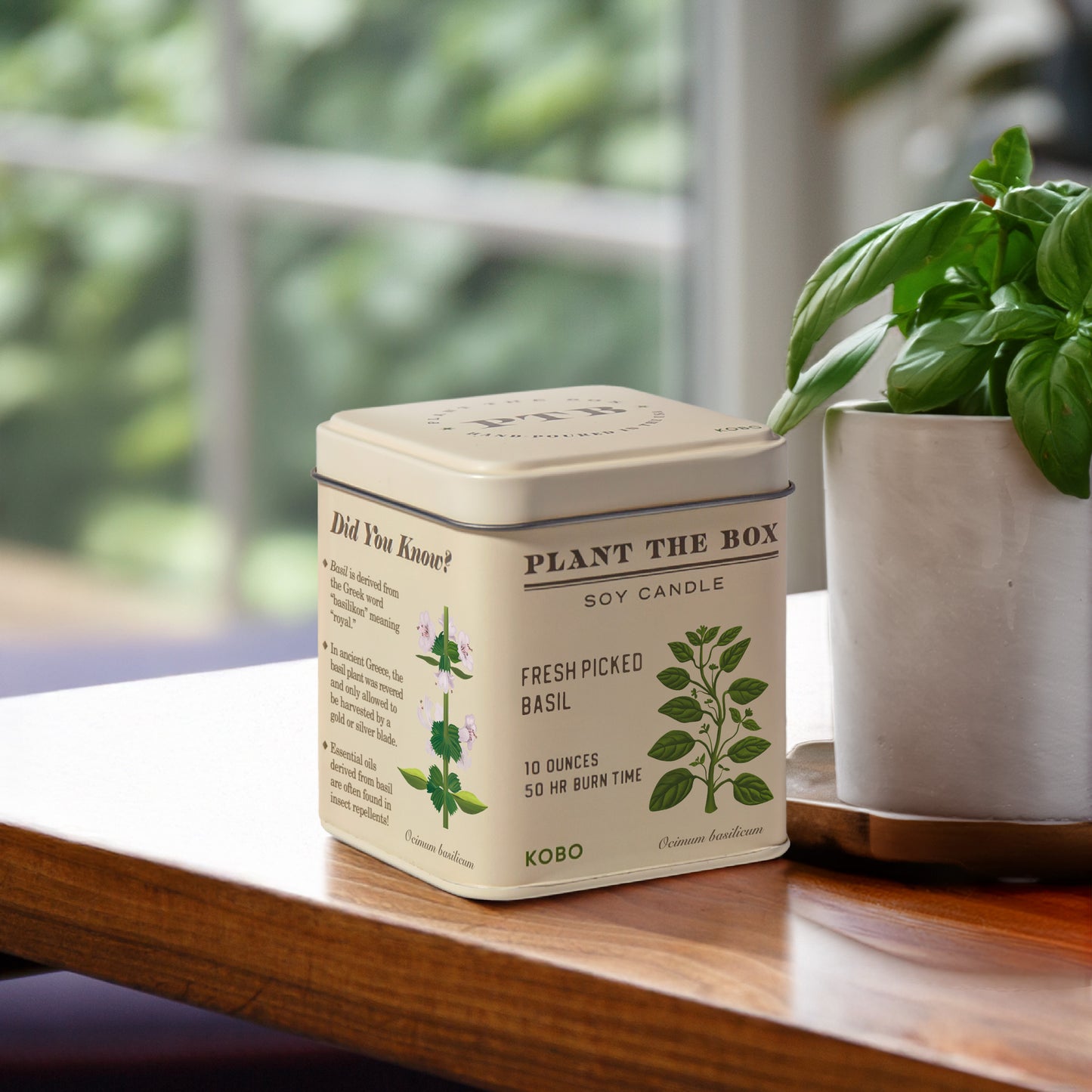 Alternate image of KOBO Plant the Box Fresh Picked Basil Tin Candle