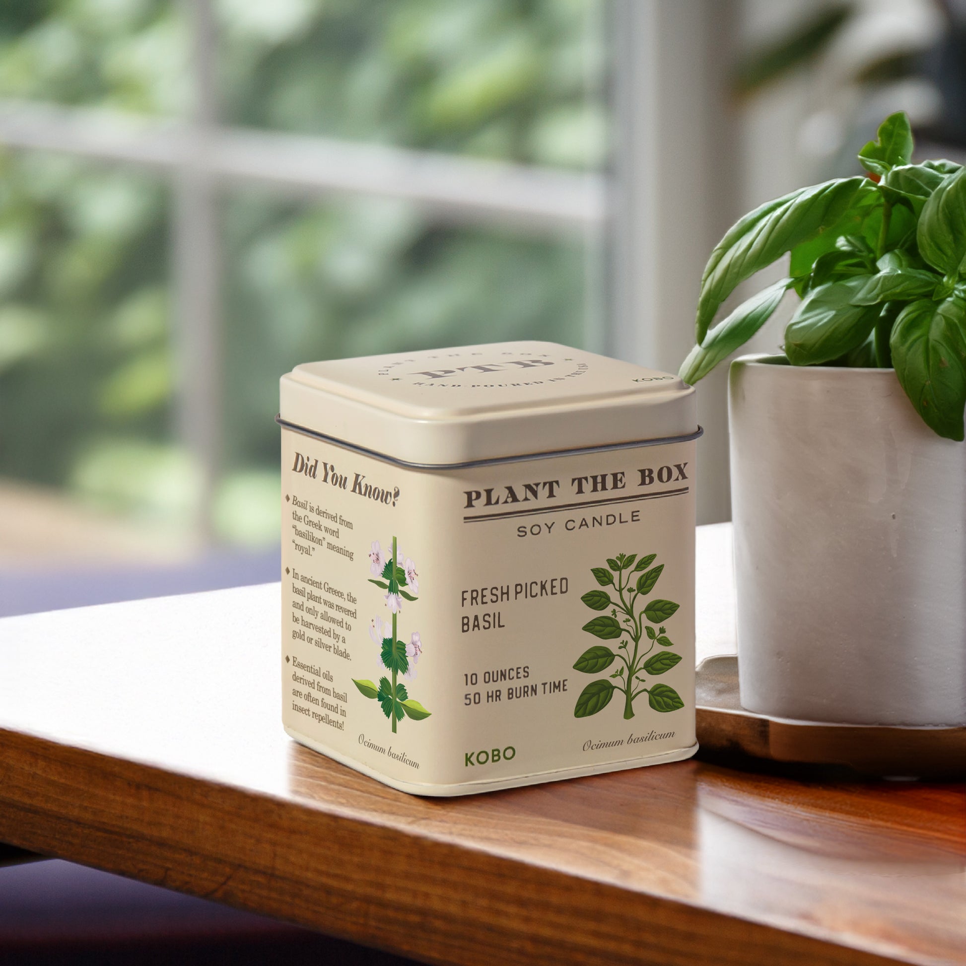 Alternate image of KOBO Plant the Box Fresh Picked Basil Tin Candle