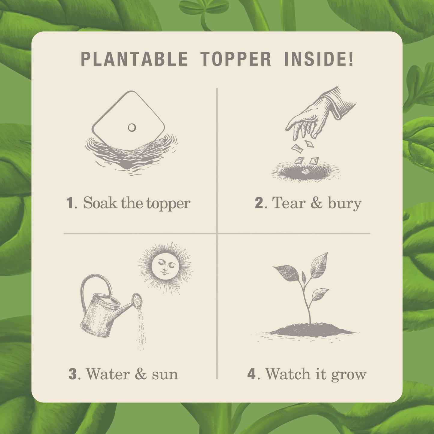 Alternate image of KOBO Plant the Box Fresh Picked Basil Tin Candle plantable topper instructions 