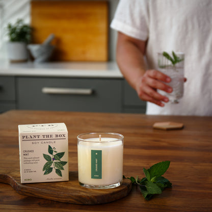 Alternate Image of Crushed Mint Plant the Box Candle