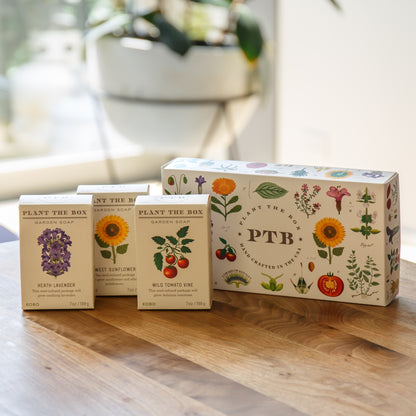 Alternate Image of Plant the Box Bar Soap Gift Set