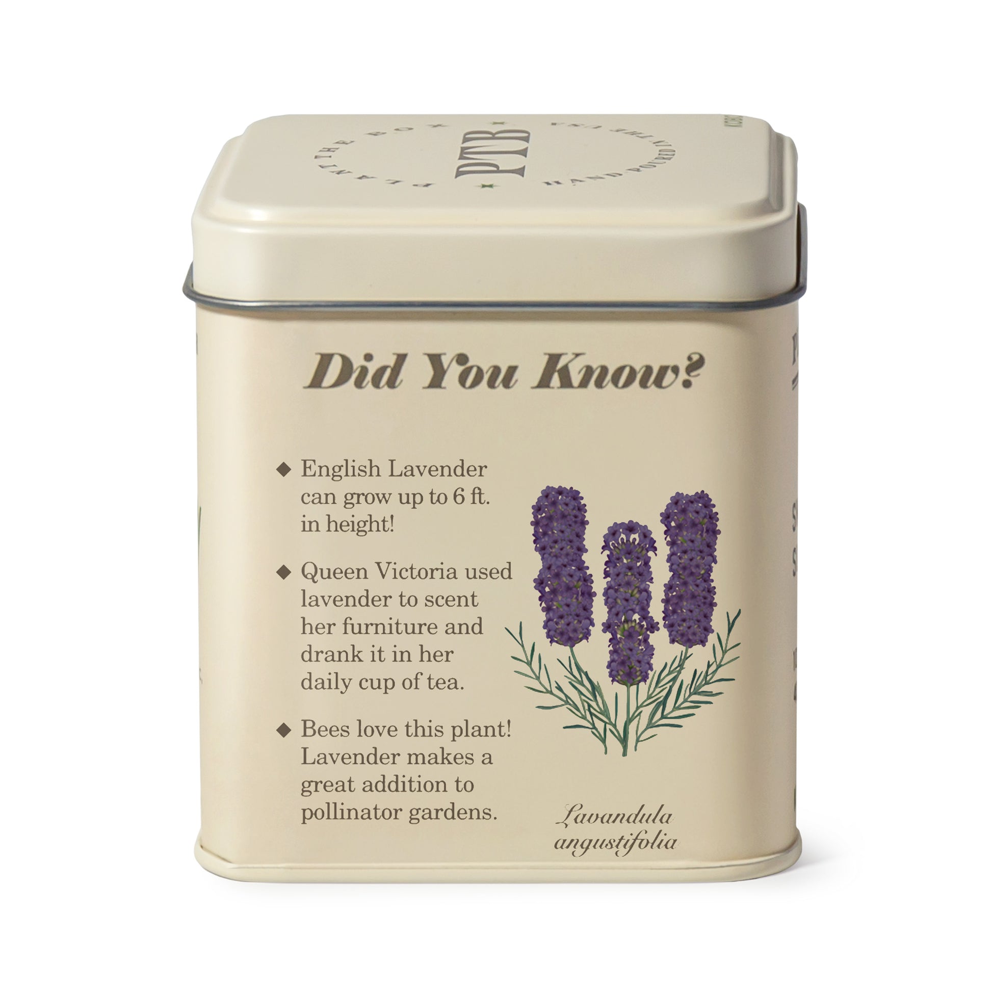 Alternate image of KOBO Plant the Box Heath Lavender Tin Candle