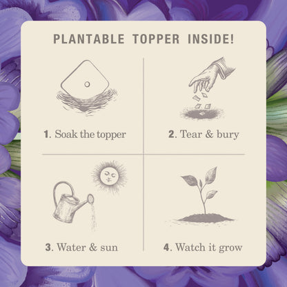 Alternate image of KOBO Plant the Box Heath Lavender Tin Candle plantable topper instructions