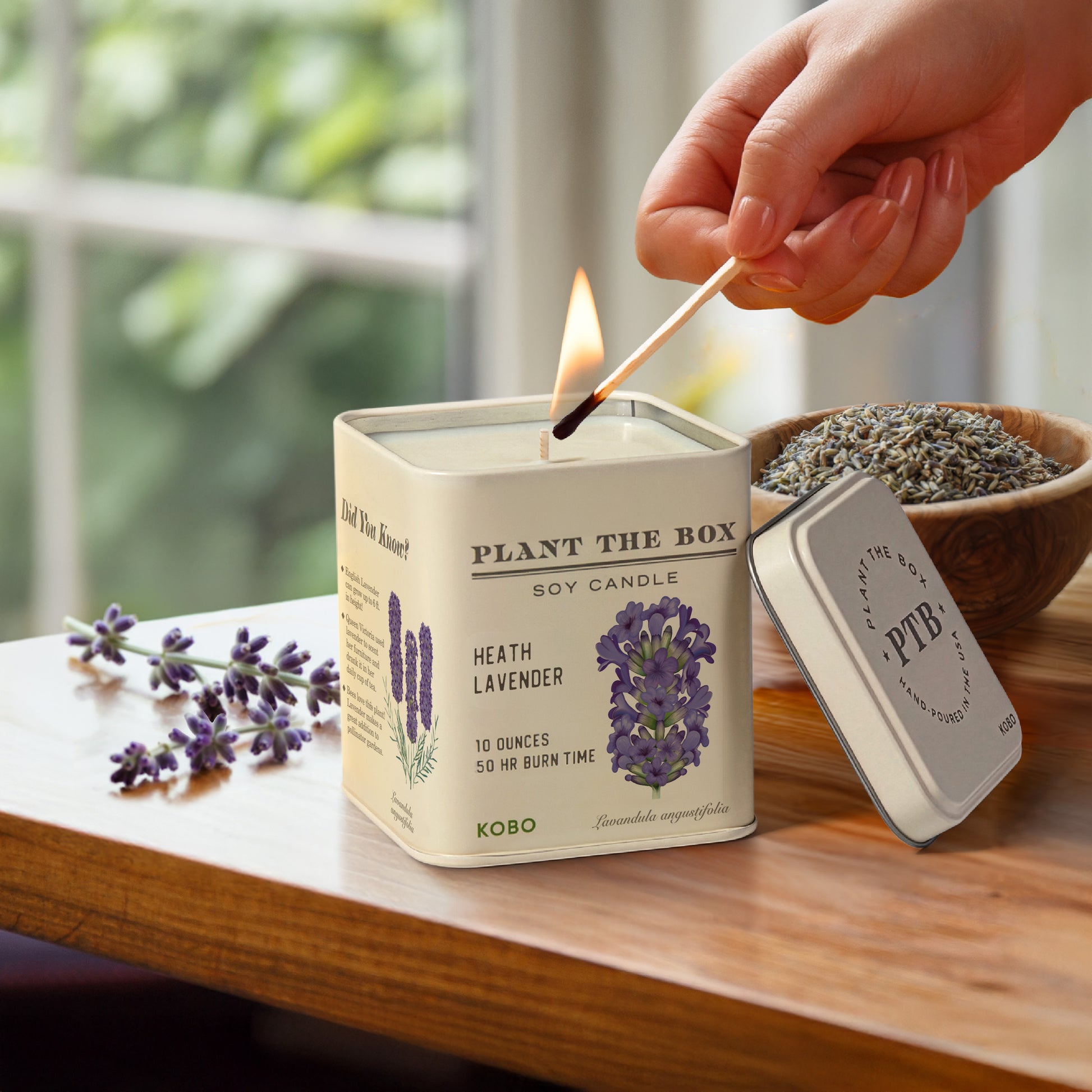 Alternate image of KOBO Plant the Box Heath Lavender Tin Candle