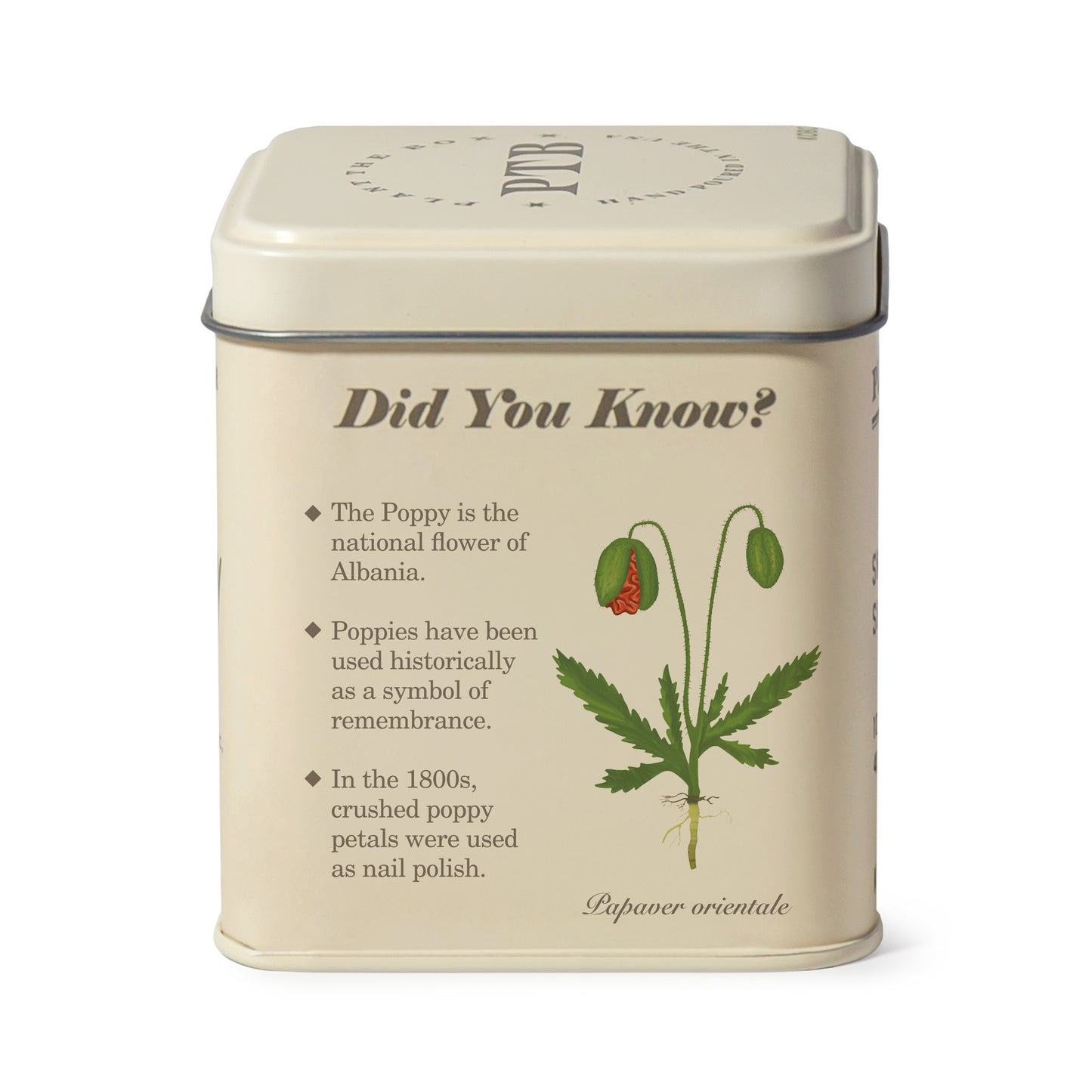 Alternate image of KOBO Plant the Box Red Poppy Tin Candle