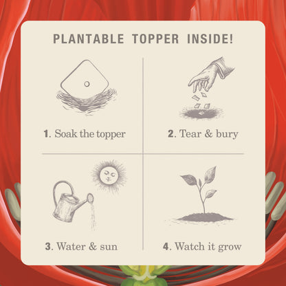 Alternate image of KOBO Plant the Box Red Poppy Tin Candle plantable topper instructions 