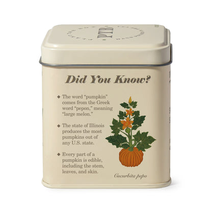 Alternate image of KOBO Plant the Box Half Moon Pumpkin Tin Candle