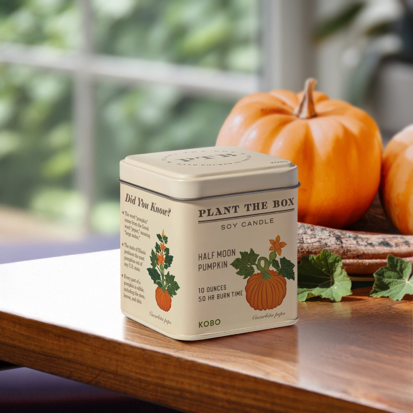 Alternate image of KOBO Plant the Box Half Moon Pumpkin Tin Candle