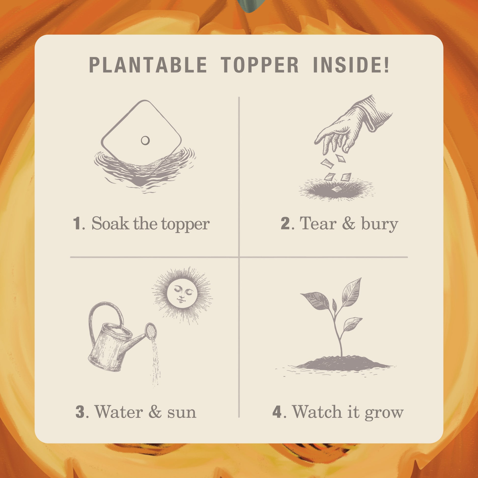 Alternate image of KOBO Plant the Box Half Moon Pumpkin Tin Candle plantable topper instructions