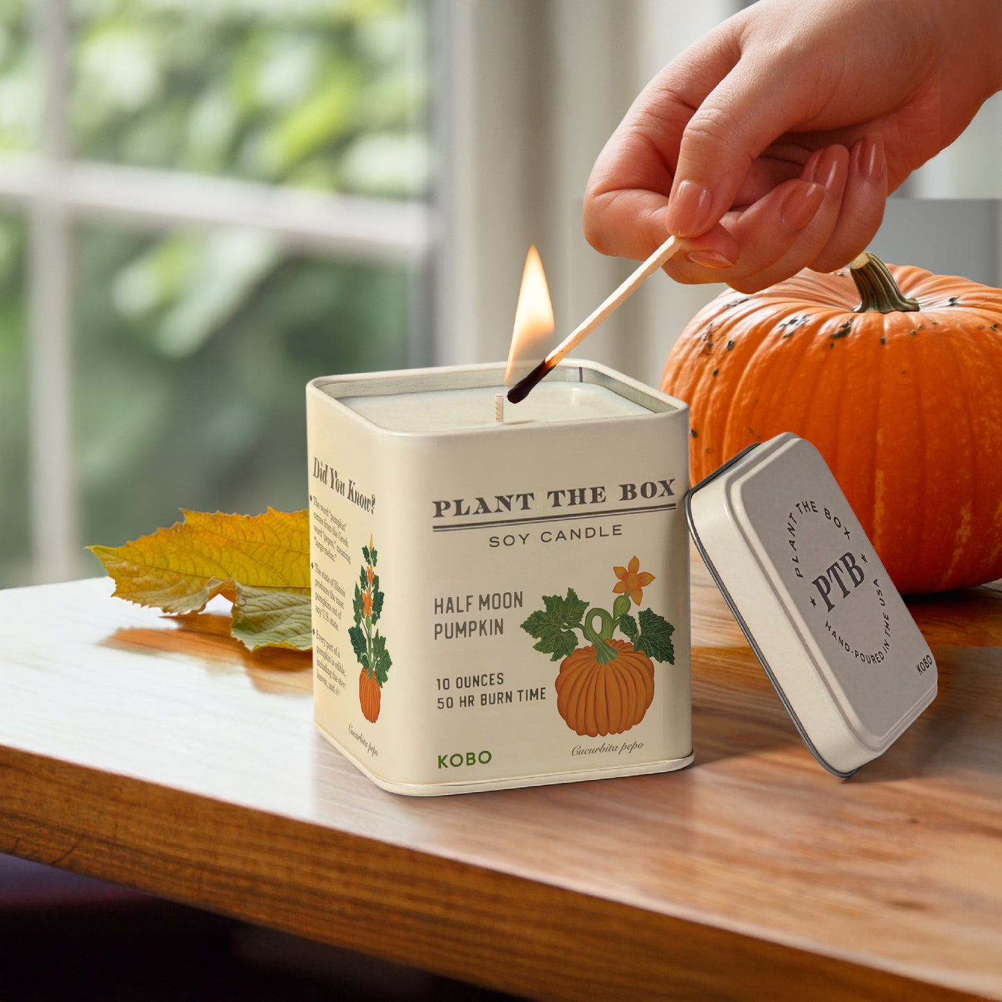 Alternate image of KOBO Plant the Box Half Moon Pumpkin Tin Candle
