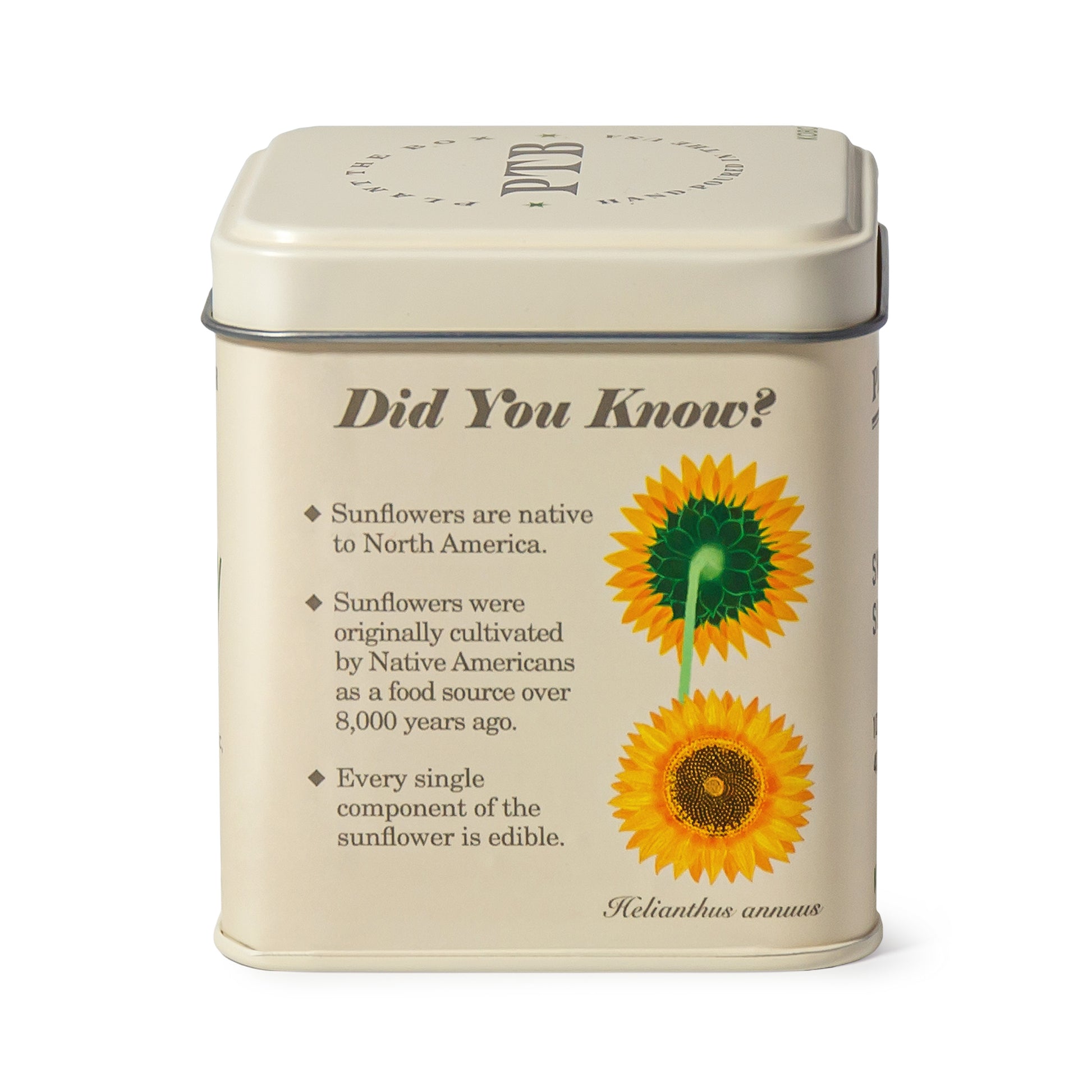 Alternate image of KOBO Plant the Box Sweet Sunflower Tin Candle