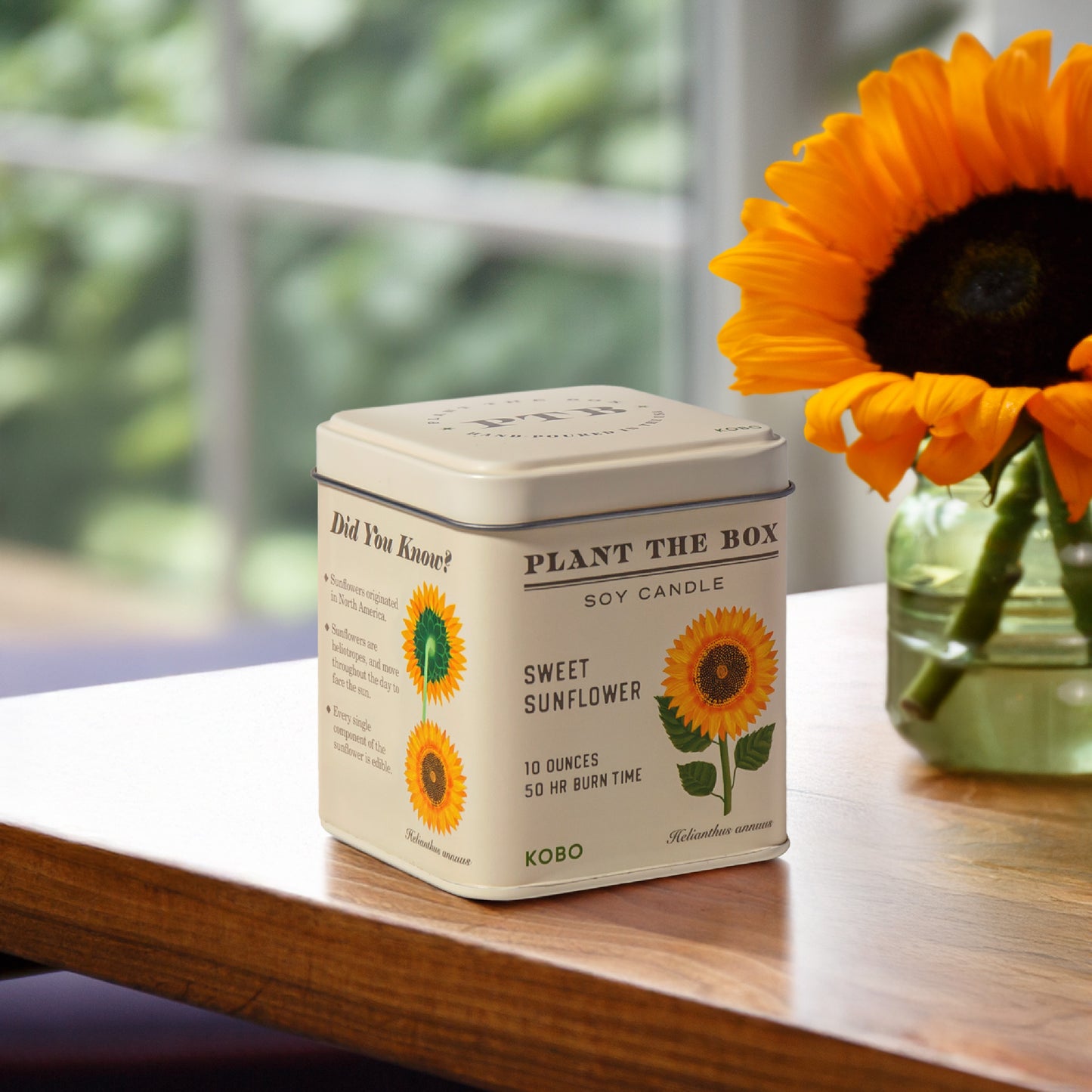 Alternate image of KOBO Plant the Box Sweet Sunflower Tin Candle