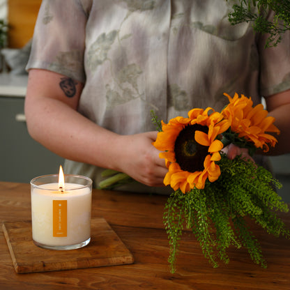 Alternate Image of Sweet Sunflower Plant the Box Candle