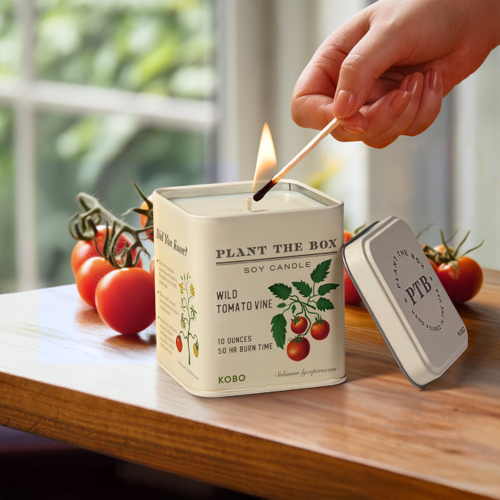 Alternate image of KOBO Plant the Box Wild Tomato Vine Tin Candle