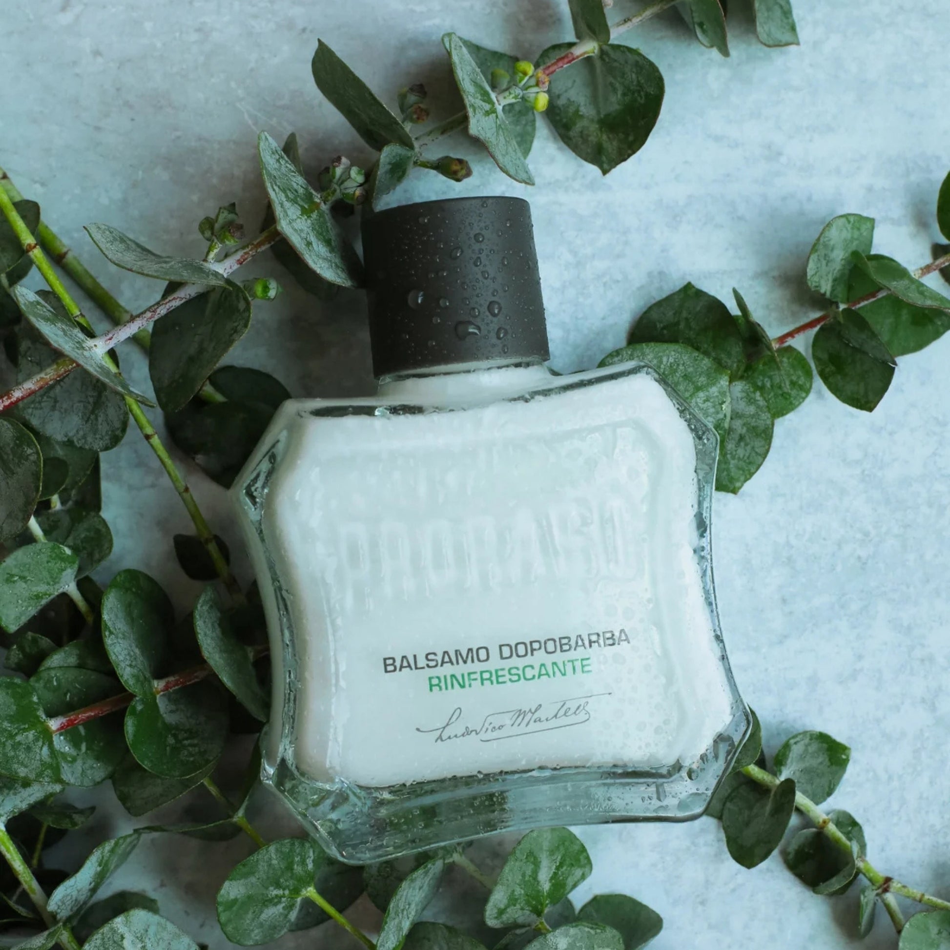 Alternate image of Proraso Aftershave Balm - Eucalyptus and Menthol 