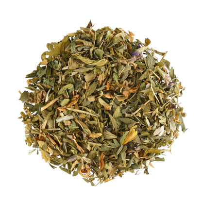 Primary Image of Alfalfa Leaves