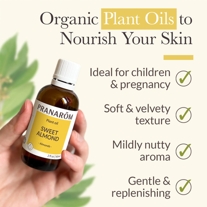 Benefits image of Pranarom Sweet Almond Virgin Plant Oil