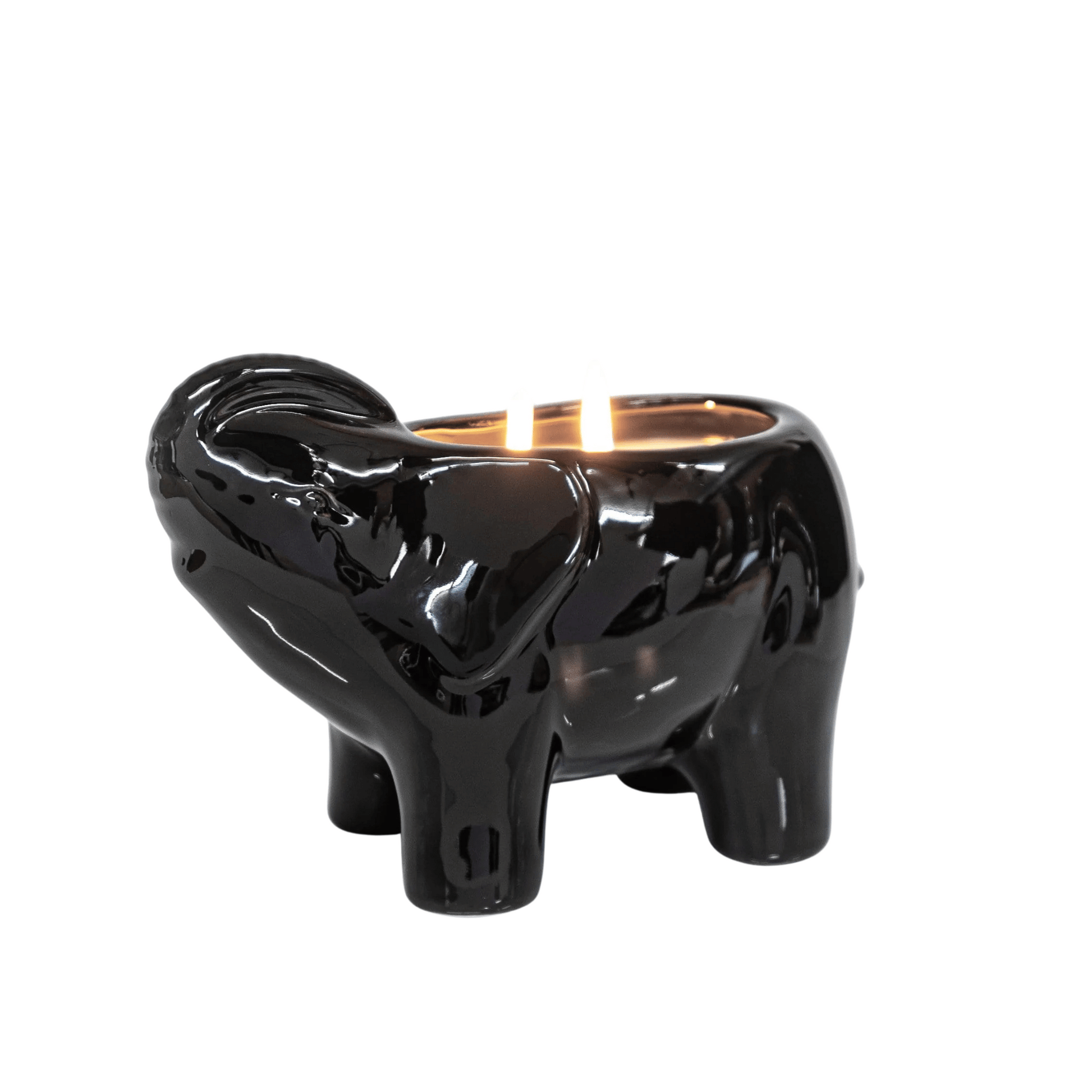 Primary image of Thompson Ferrier Ash Ember Rose Black Elephant Candle