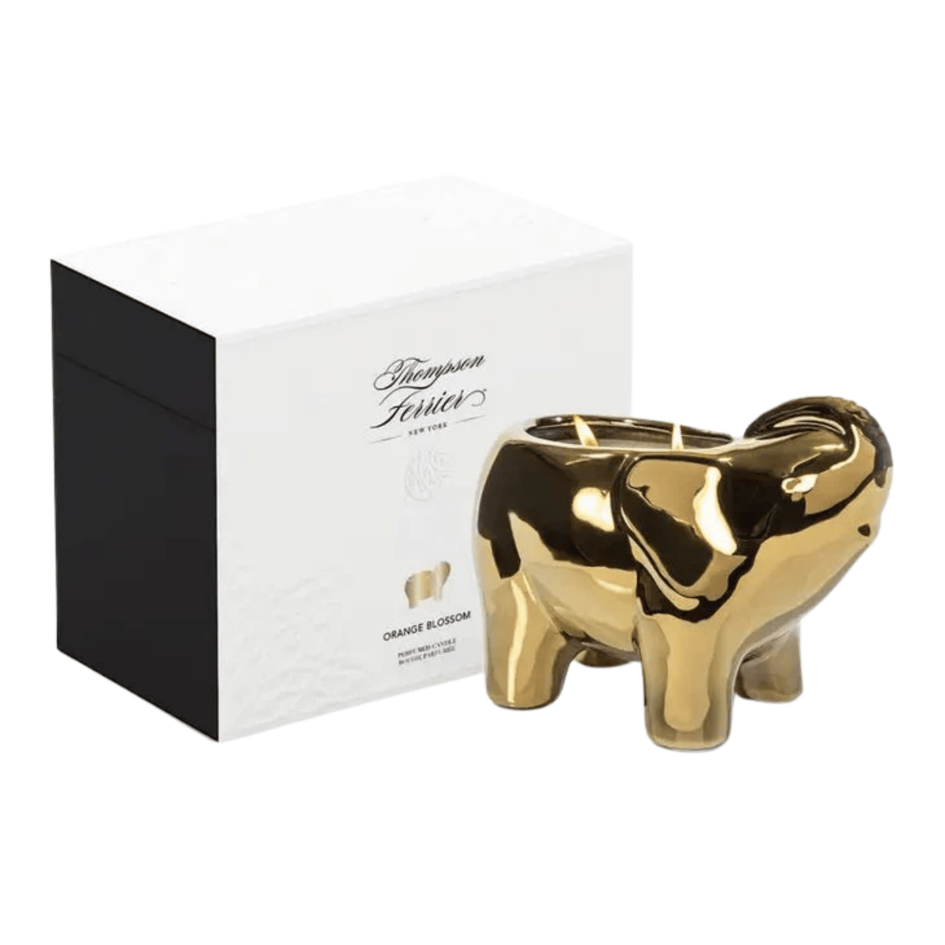 Alternate image of Thompson Ferrier Orange Blossom Gold Elephant Candle