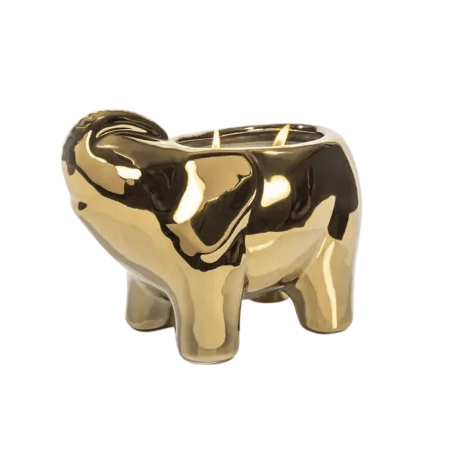 Primary image of Thompson Ferrier Orange Blossom Gold Elephant Candle