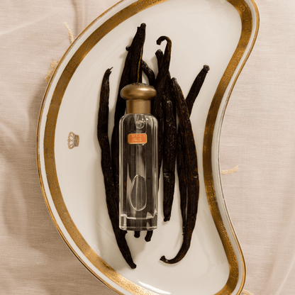 Alternate image of Tocca Laila Travel Spray lifestyle image 