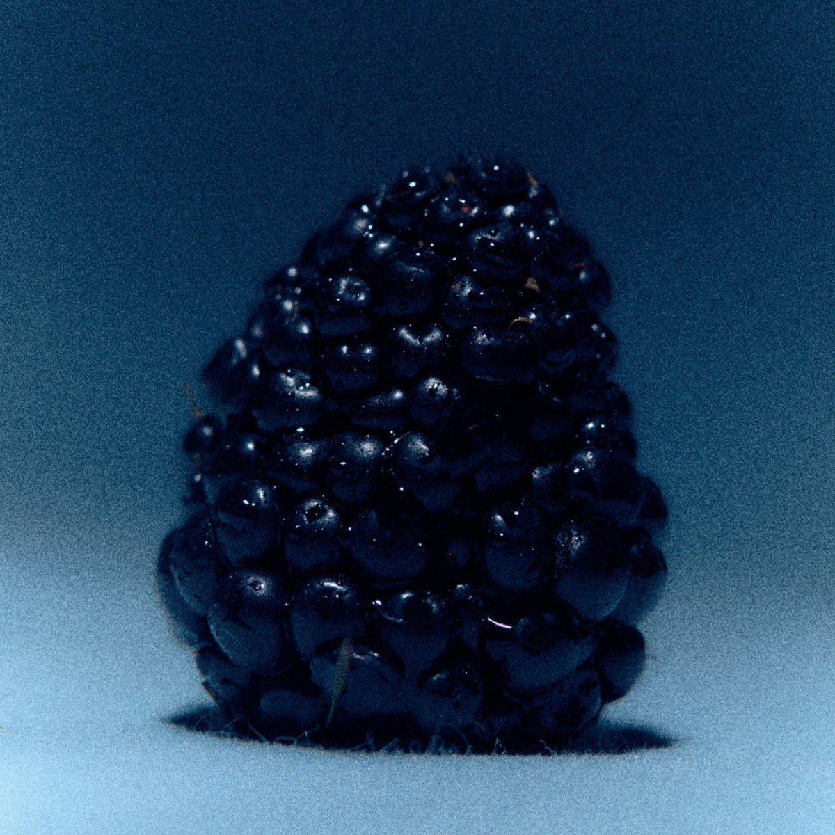 Alternate Image of Moonrise in a Forest Candle, blackberry