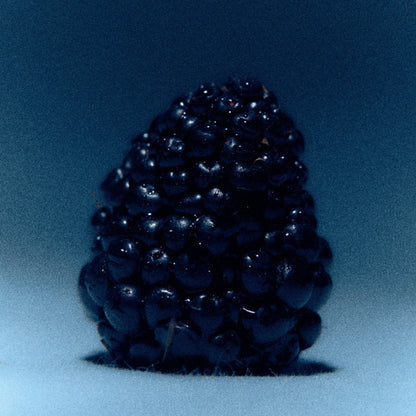 Alternate Image of Moonrise in a Forest Candle, blackberry