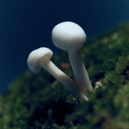 Alternate Image of Moonrise in a Forest Candle, mushrooms