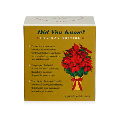 Alternate image of KOBO Plant the Box Winter Garden Festive Poinsettia Candle