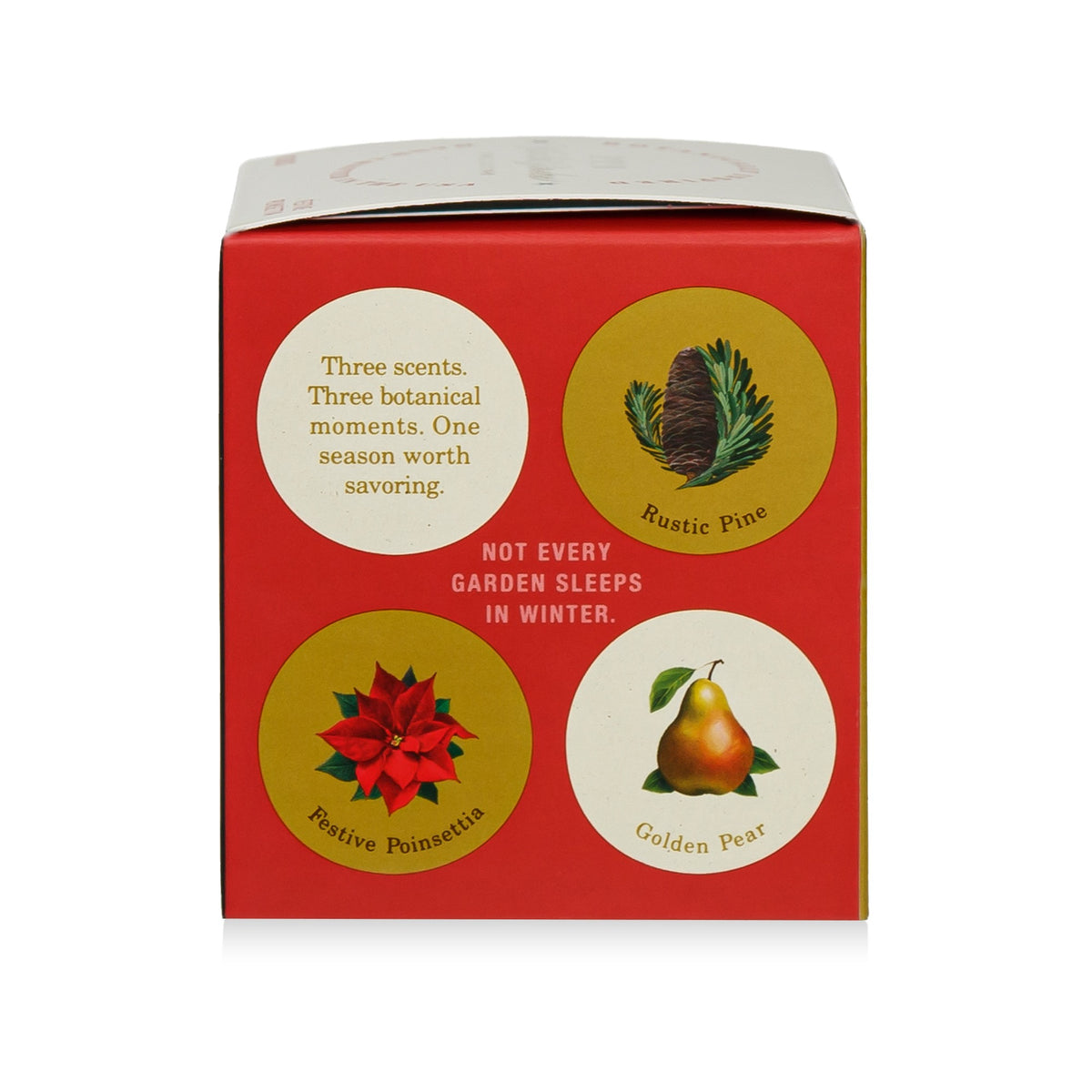 Alternate image of KOBO Plant the Box Winter Garden Festive Poinsettia Candle