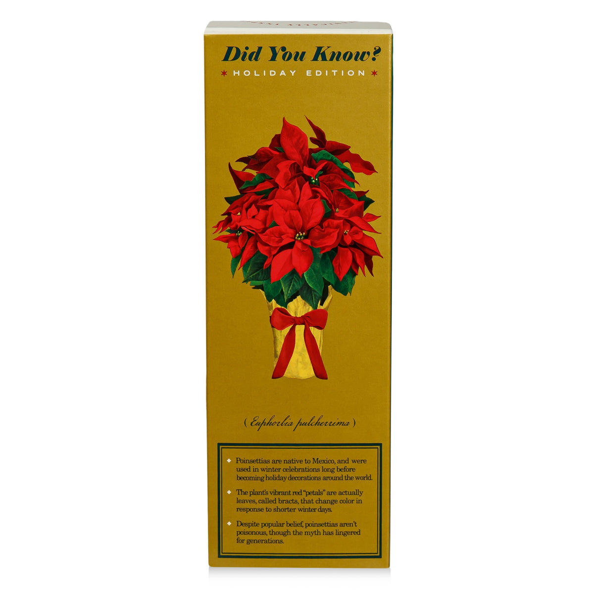 Alternate image of KOBO Plant the Box Winter Garden Festive Poinsettia Diffuser