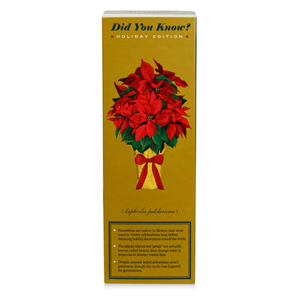 Alternate image of KOBO Plant the Box Winter Garden Festive Poinsettia Diffuser