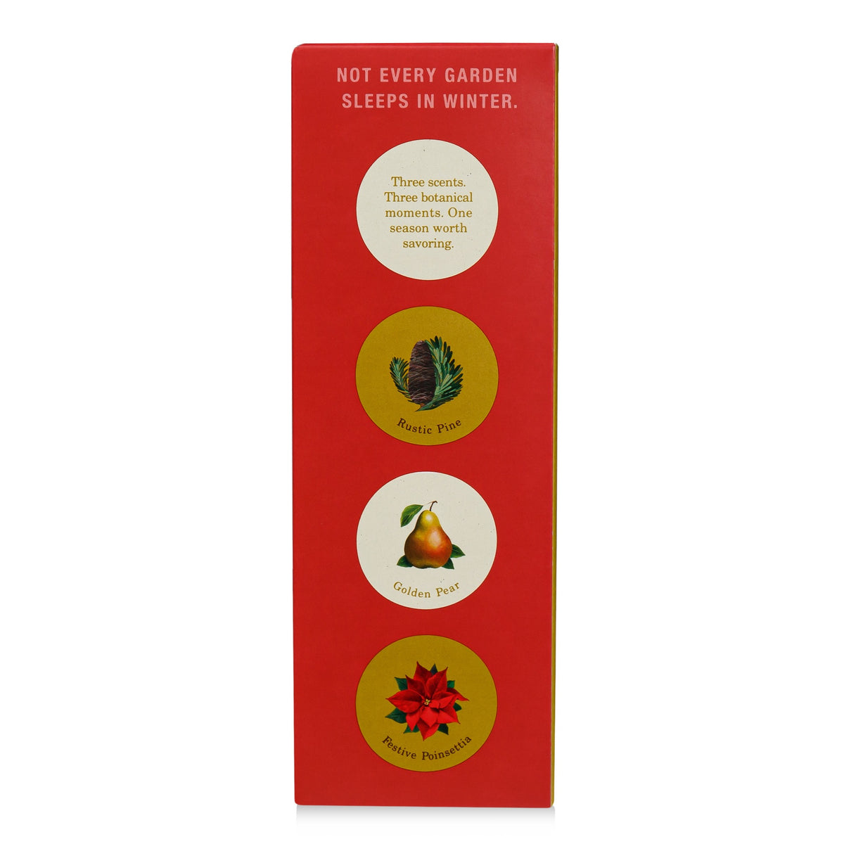 Alternate image of KOBO Plant the Box Winter Garden Festive Poinsettia Diffuser