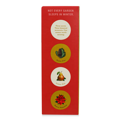 Alternate image of KOBO Plant the Box Winter Garden Festive Poinsettia Diffuser
