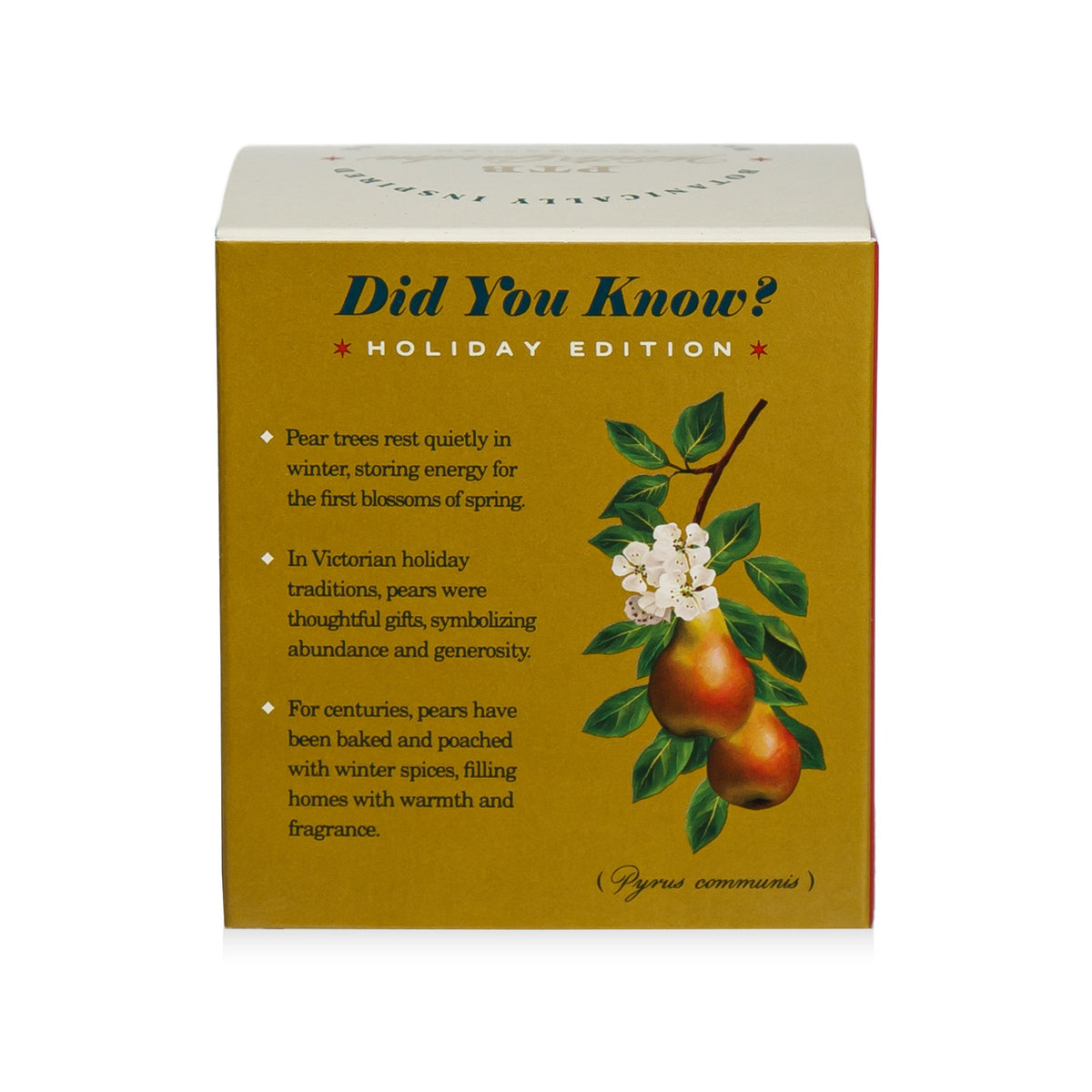 Alternate image of KOBO Plant the Box Winter Garden Golden Pear Candle