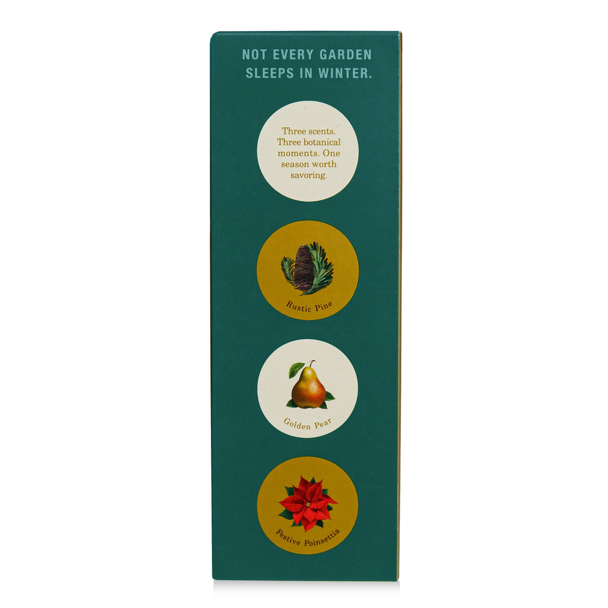 Alternate image of KOBO Plant the Box Winter Garden Golden Pear Diffuser