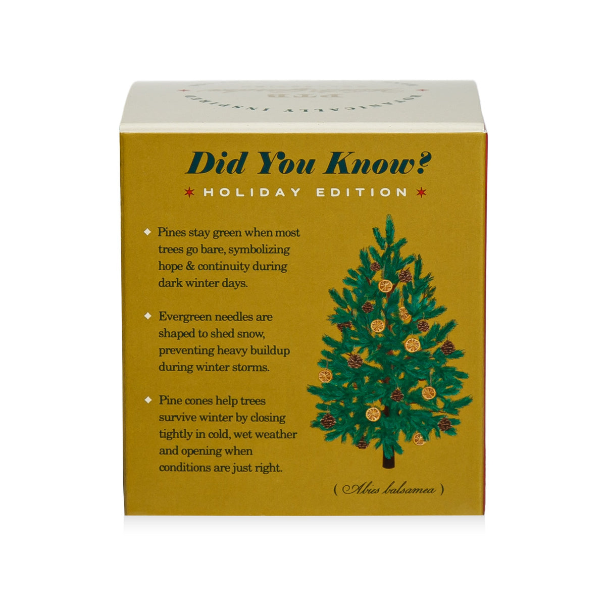 Alternate image of KOBO Plant the Box Winter Garden Rustic Pine Candle (9 oz)