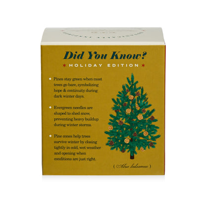 Alternate image of KOBO Plant the Box Winter Garden Rustic Pine Candle (9 oz)