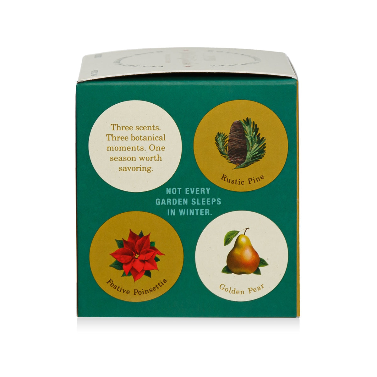 Alternate image of KOBO Plant the Box Winter Garden Rustic Pine Candle (9 oz)