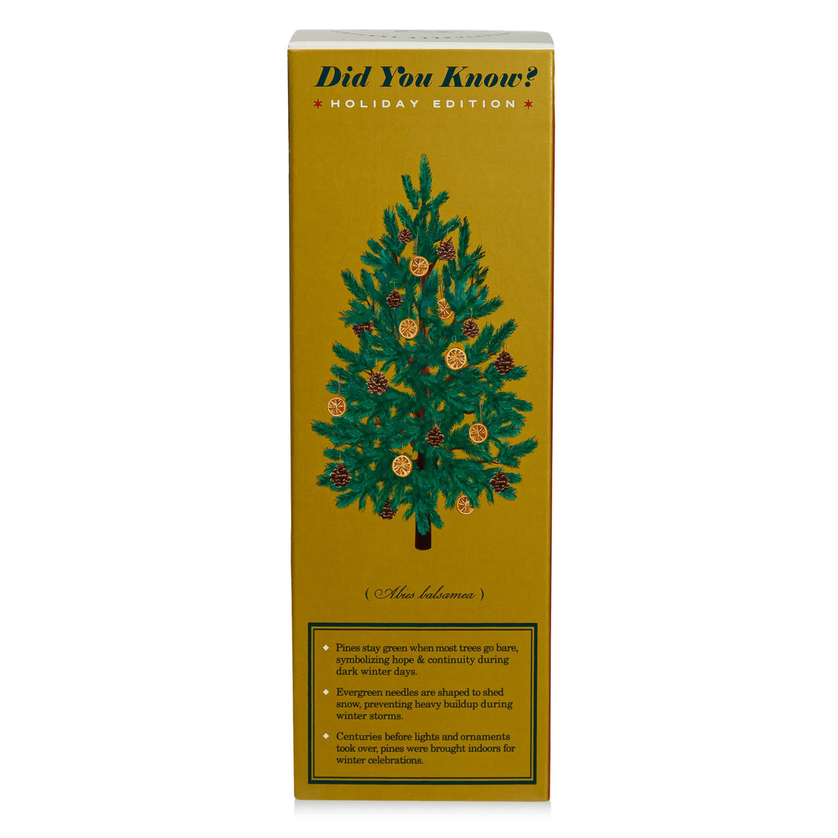 Alternate image of KOBO Plant the Box Winter Garden Rustic Pine Diffuser