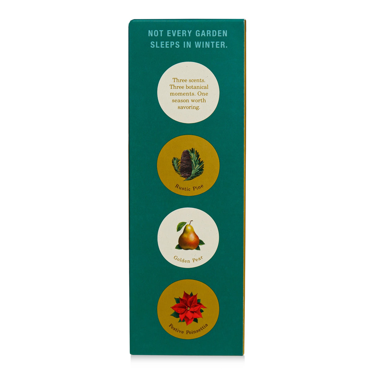 Alternate image of KOBO Plant the Box Winter Garden Rustic Pine Diffuser