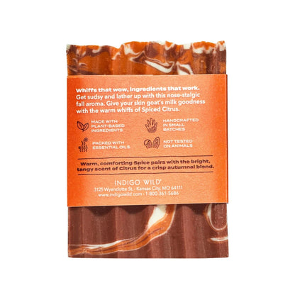 Alternate image of Zum Spiced Citrus Zum Bar Soap